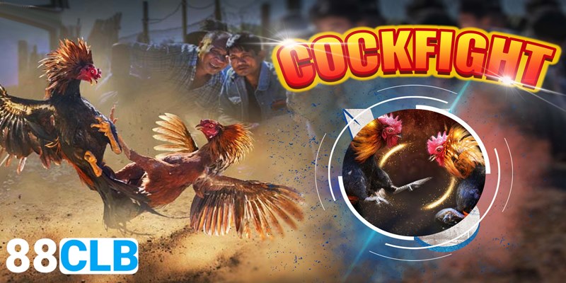 Đá Gà 88CLB Đá gà 88CLB là chuyên mục game đổi thưởng “ăn khách” tại sân chơi trực tuyến